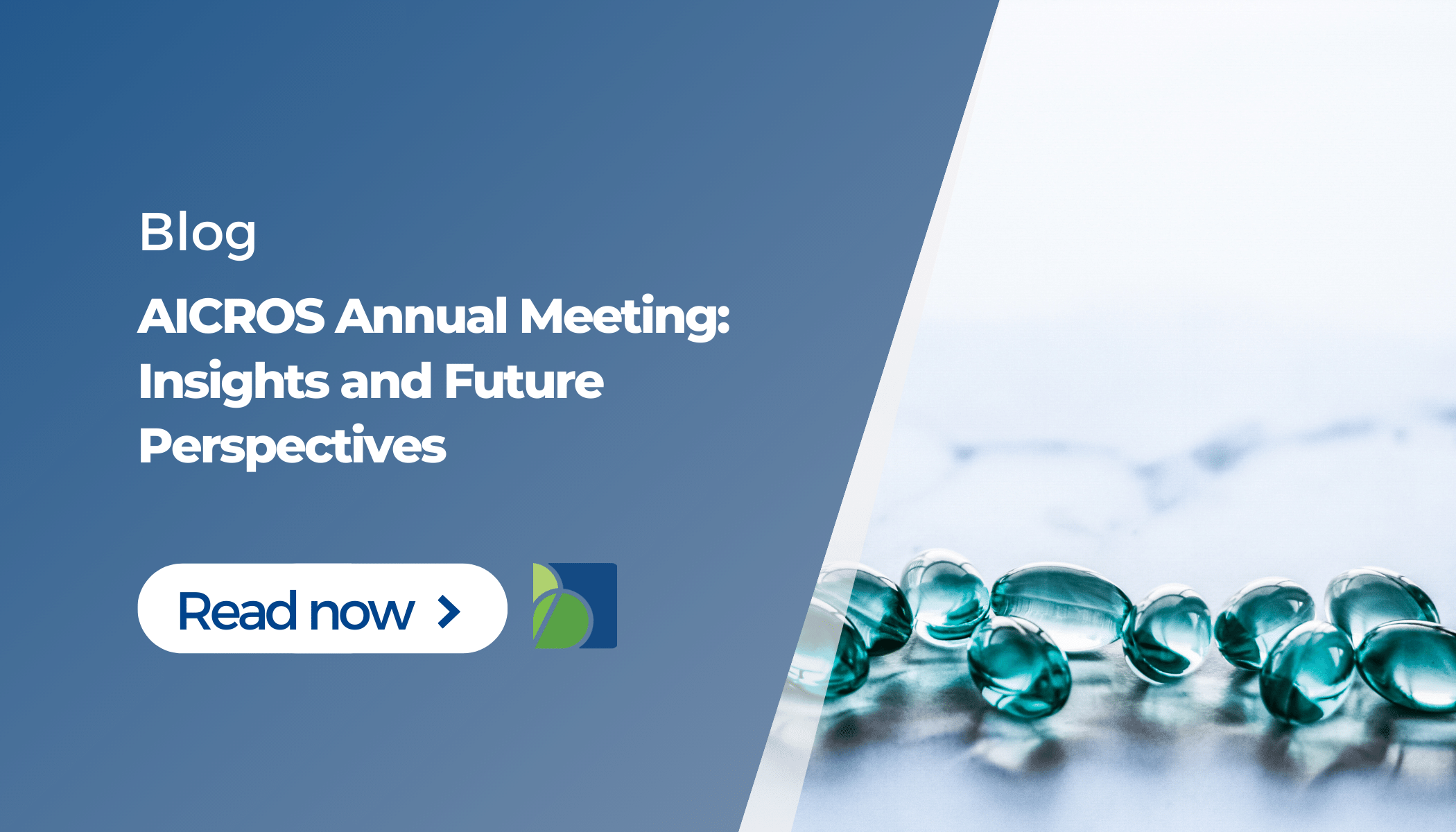 AICROS Annual Meeting: insights and future perspectives