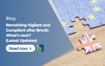 Remaining Vigilant and Compliant after Brexit: What’s next? (Latest Updates)